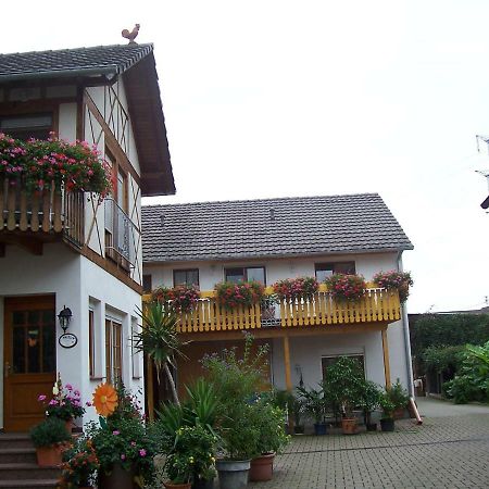 Meyerhof Lägenhet Wittenweier Exteriör bild