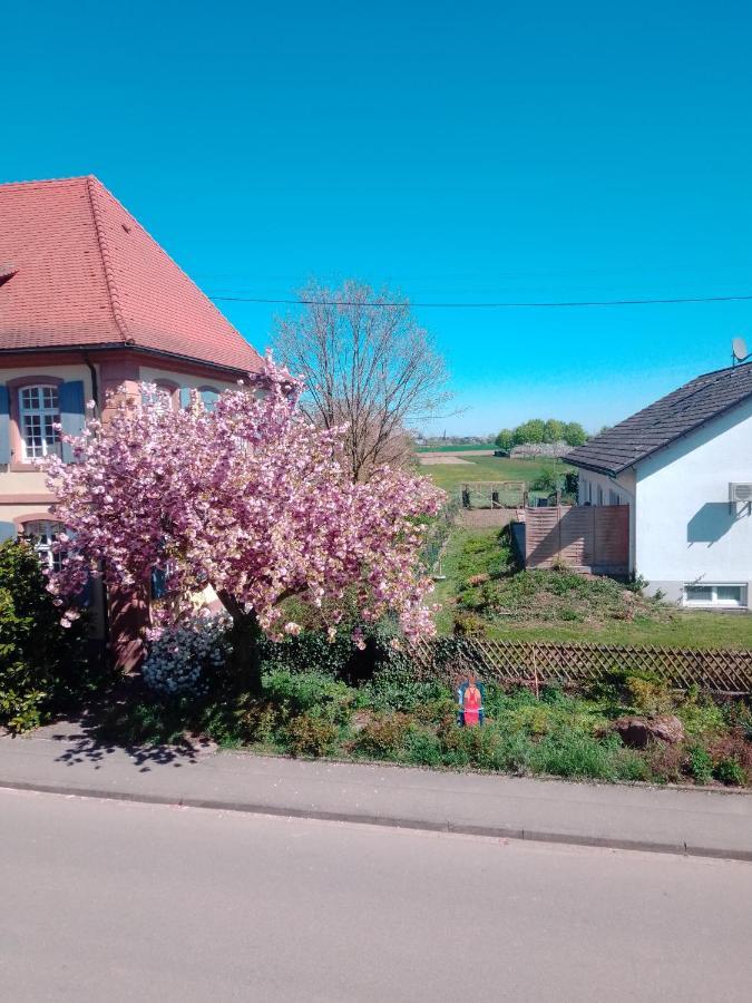Meyerhof Lägenhet Wittenweier Exteriör bild
