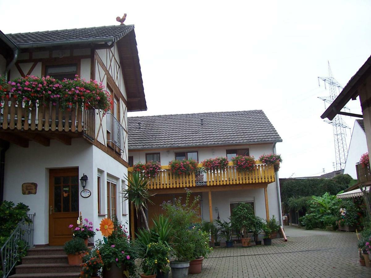 Meyerhof Lägenhet Wittenweier Exteriör bild